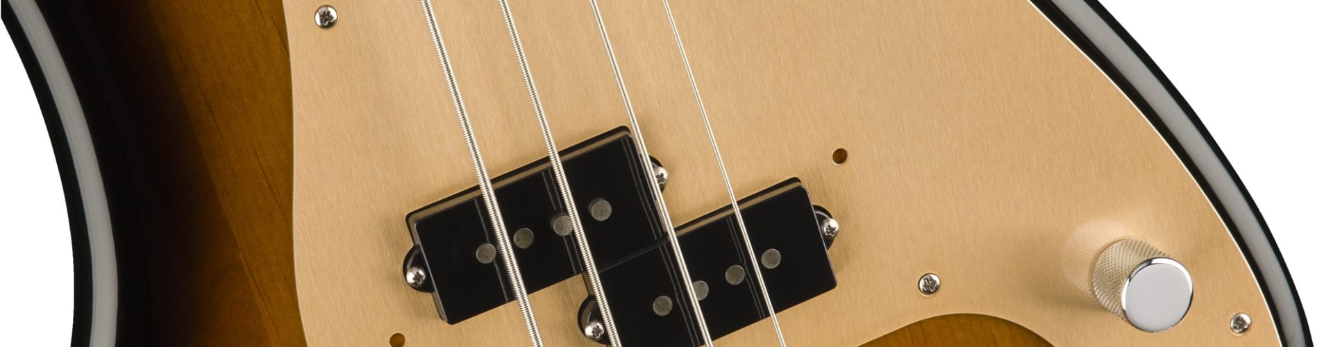 LE MUSICIEN LE PLUS INDISPENSABLE ? LA SCIENCE S’EN MÊLE
